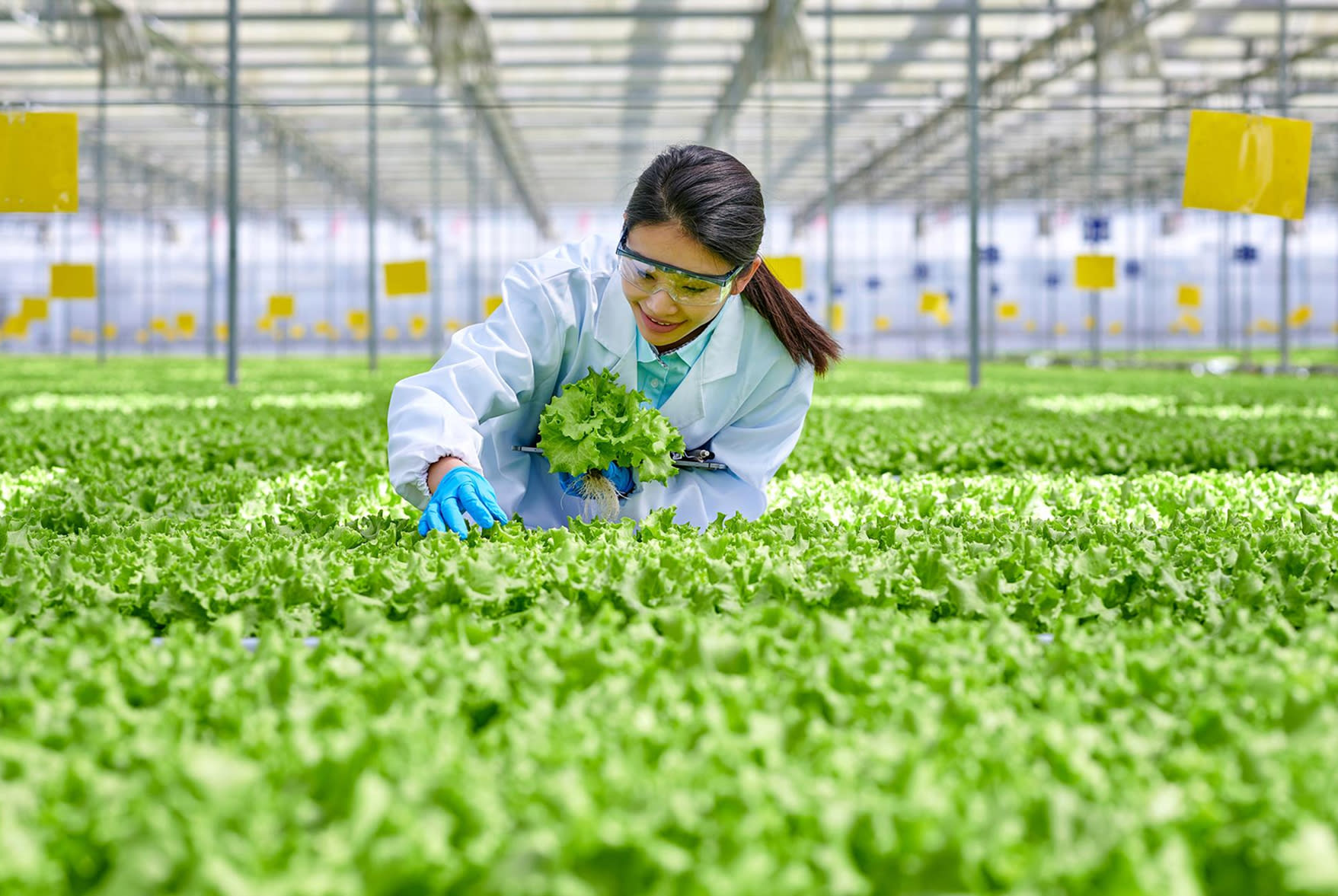 Bridging gaps, inspiring change: The Elsevier Foundation turns 20